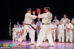 Pokaz Karate na scenie