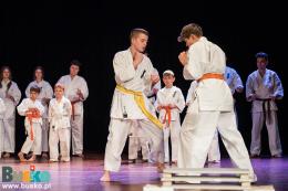 Pokaz Karate na scenie