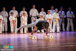 Pokaz Karate na scenie