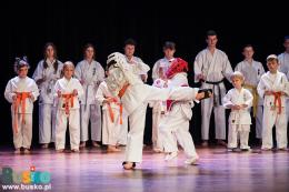 Pokaz Karate na scenie
