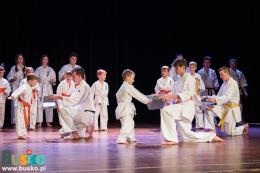 Pokaz Karate na scenie