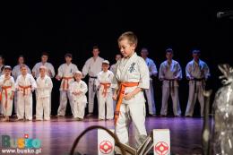 Pokaz Karate na scenie