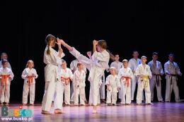 Pokaz Karate na scenie