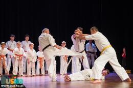 Pokaz Karate na scenie