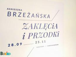 wystawa Zaklęcia i Przodki