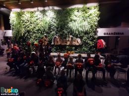 3969502996280187895374195232275309058486605n-1