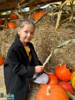 WhatsApp-Image-2023-10-29-at-215310-2