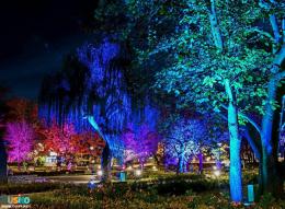 nocne iluminacje w parku zdrojowym w Busku-Zdroju