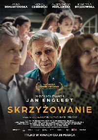 Skrzyżowanie