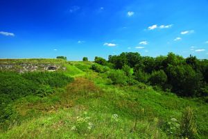 Szlak niebieski – Pińczów-Busko-Wiślica - 20km + 19km (pomnik przyrody „Sosna na szczudłach”)
