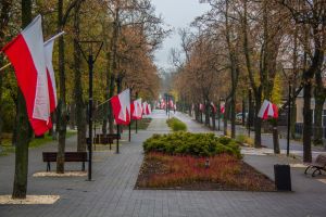 Zdjęcie przedstawia udekorowaną flagami narodowymi aleję Mickiewicza w dniu obchodów 102. Rocznicy odzyskania przez Polskę niepodległości. 