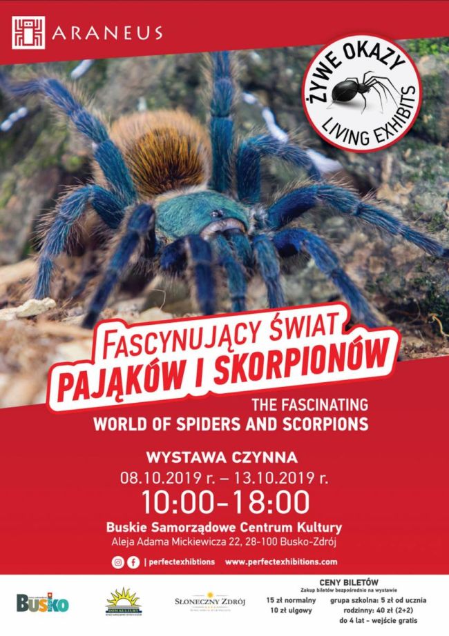 Fascynujący świat pająków i skorpionów 