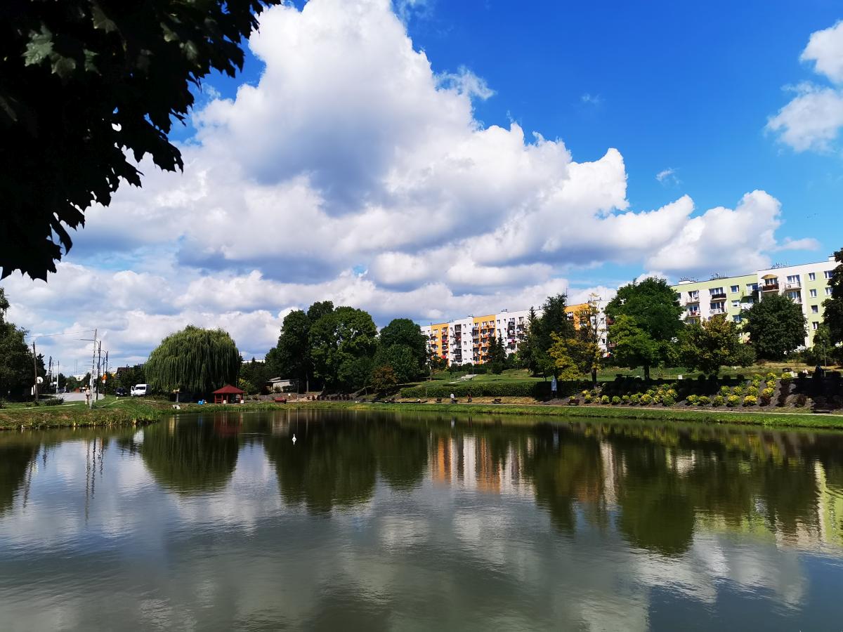 Zdjęcie przedstawia Staw Niemiecki na tle zieleni oraz bloków mieszkalnych. Fot. K. Chmura 