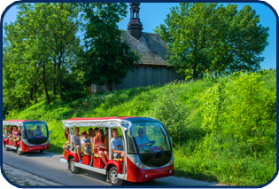 CHOTELEK ZIELONY (PIĄTEK)