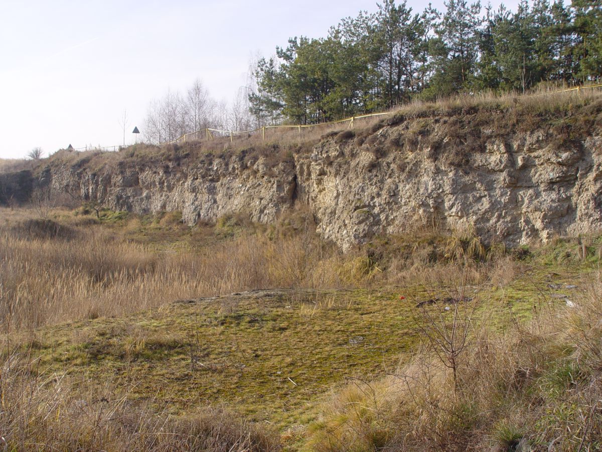 Rezerwat  skalno - stepowy Karabosy