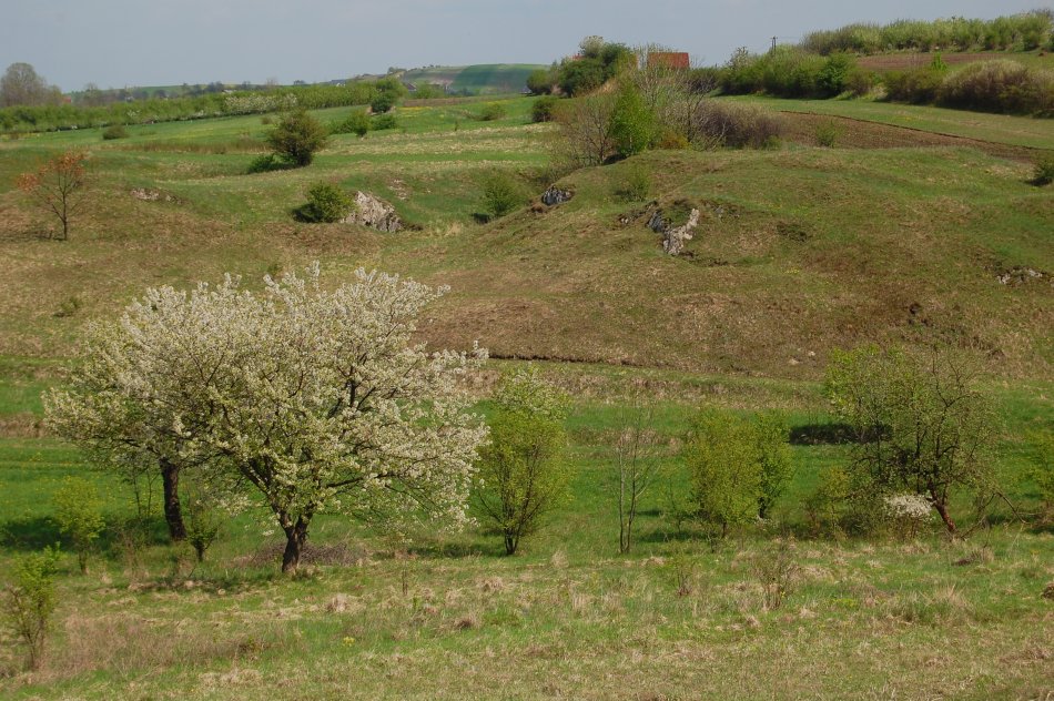 Szlak czarny Busko-Zbludowice - 5,5km