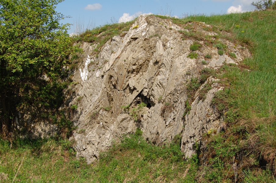 Szlak czarny Busko-Zbludowice - 5,5km