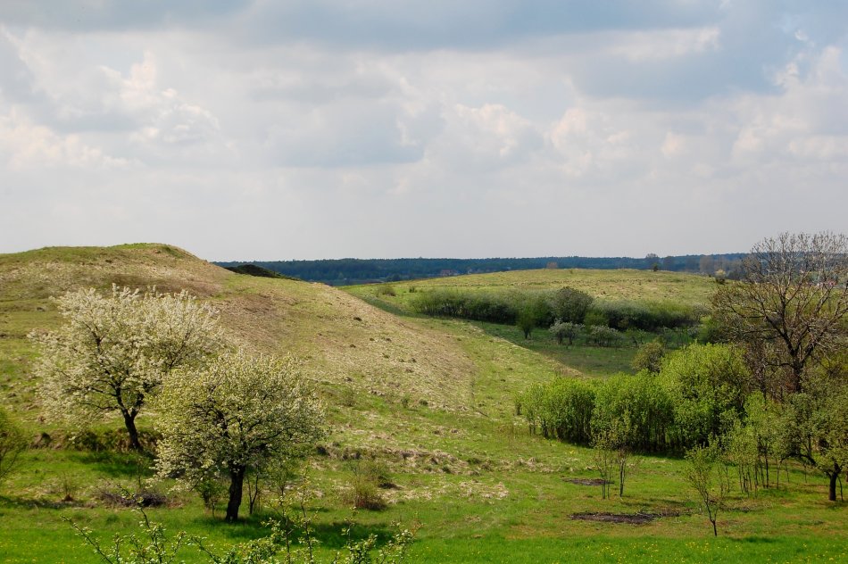 Szlak czarny Busko-Zbludowice - 5,5km