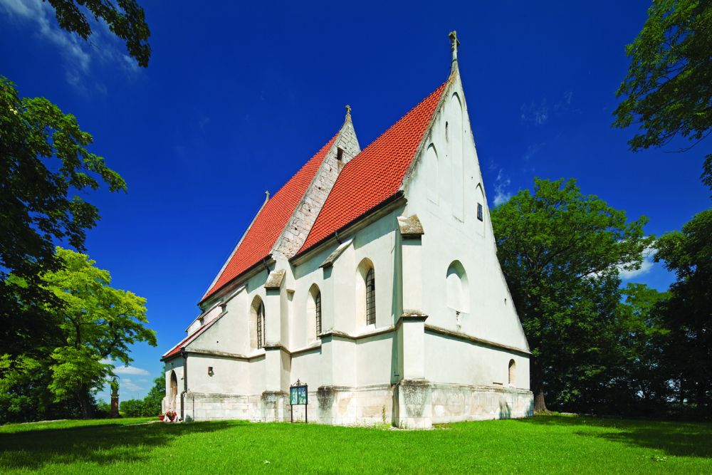 Szlak niebieski – Pińczów-Busko-Wiślica - 20km + 19km (pomnik przyrody „Sosna na szczudłach”)