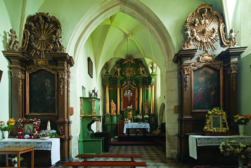 Szlak niebieski – Pińczów-Busko-Wiślica - 20km + 19km (pomnik przyrody „Sosna na szczudłach”)