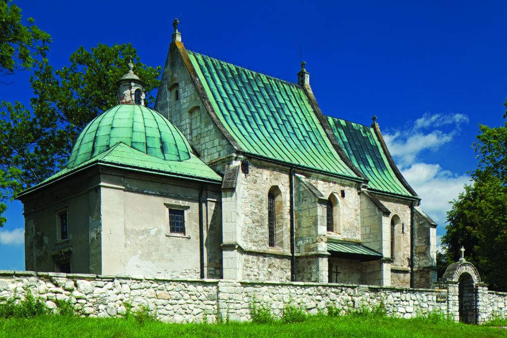 Szlak niebieski – Pińczów-Busko-Wiślica - 20km + 19km (pomnik przyrody „Sosna na szczudłach”)