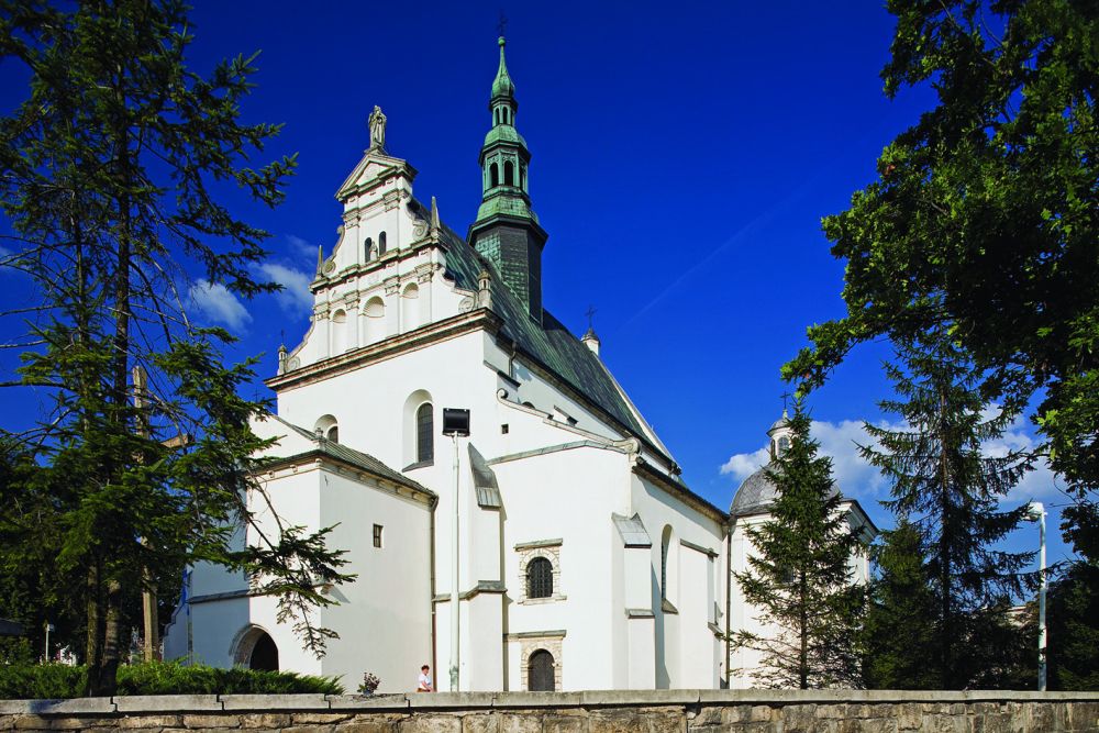 Szlak niebieski – Pińczów-Busko-Wiślica - 20km + 19km (pomnik przyrody „Sosna na szczudłach”)