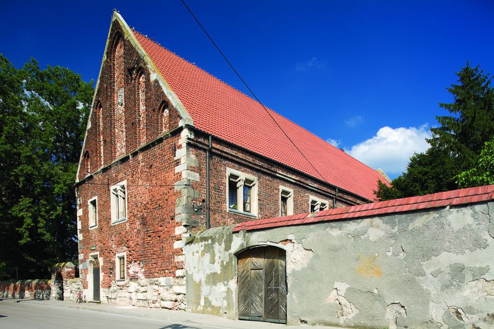 Szlak niebieski – Pińczów-Busko-Wiślica - 20km + 19km (pomnik przyrody „Sosna na szczudłach”)
