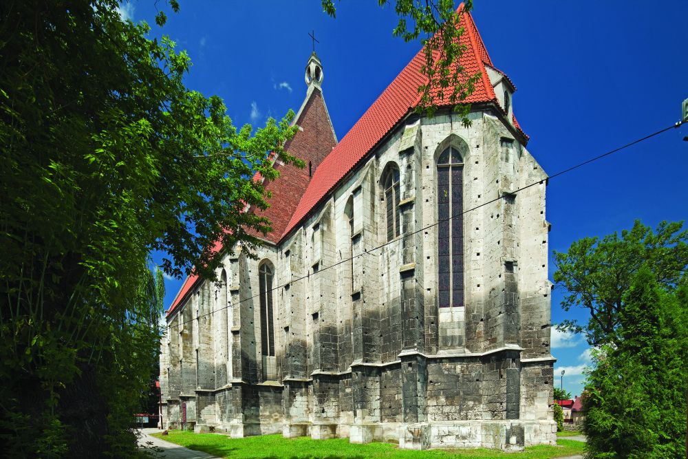 Szlak niebieski – Pińczów-Busko-Wiślica - 20km + 19km (pomnik przyrody „Sosna na szczudłach”)