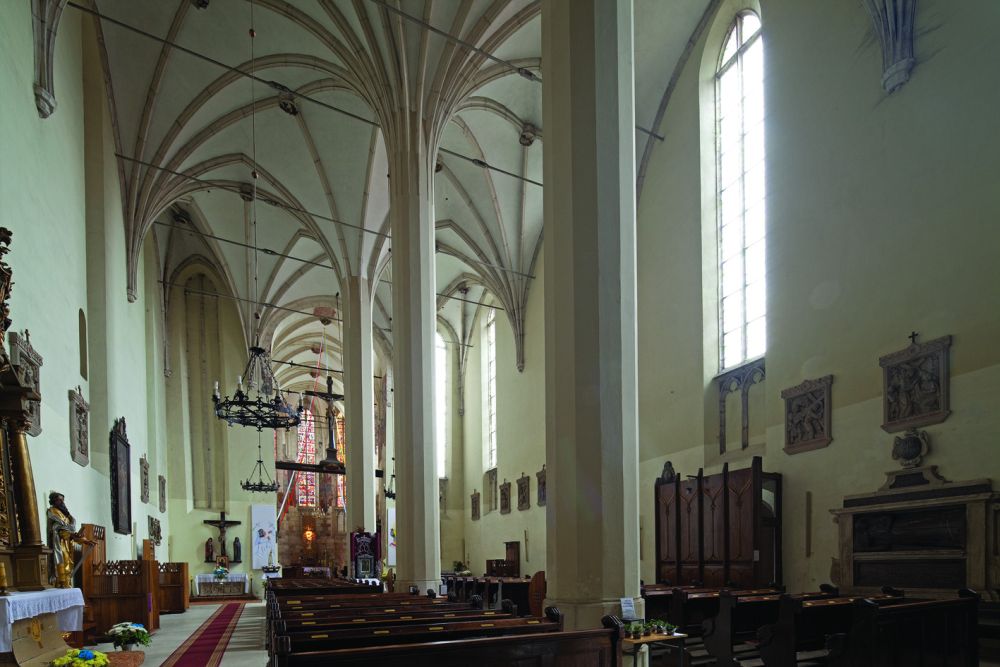 Szlak niebieski – Pińczów-Busko-Wiślica - 20km + 19km (pomnik przyrody „Sosna na szczudłach”)